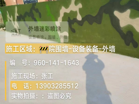 沙坪坝 迷彩漆喷涂价格（按平方米计费）