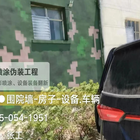 沙坪坝数码迷彩漆施工